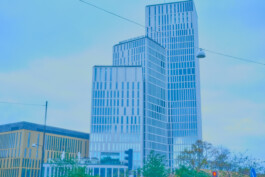 valeria farinella・中野バレリア