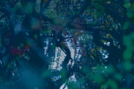 valeria farinella・中野バレリア