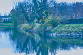 valeria farinella・中野バレリア