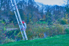 valeria farinella・中野バレリア