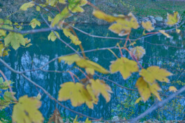 valeria farinella・中野バレリア