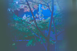 valeria farinella ・photos